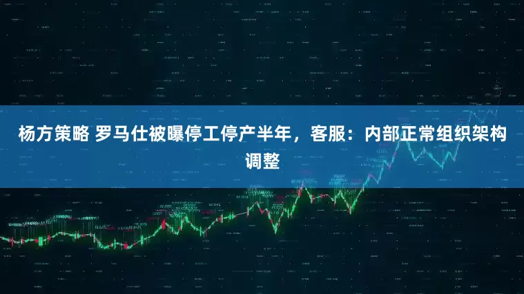 杨方策略 罗马仕被曝停工停产半年，客服：内部正常组织架构调整